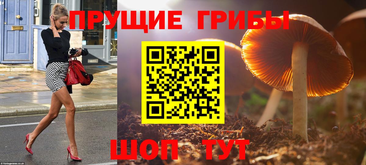 Псилоцибиновые грибы ЛСД Назрань