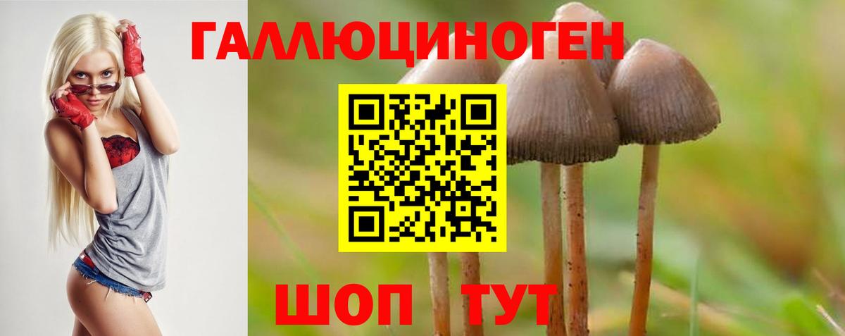 Назрань  Псилоцибиновые грибы мухоморы  продажа наркотиков  Вход с VPN 